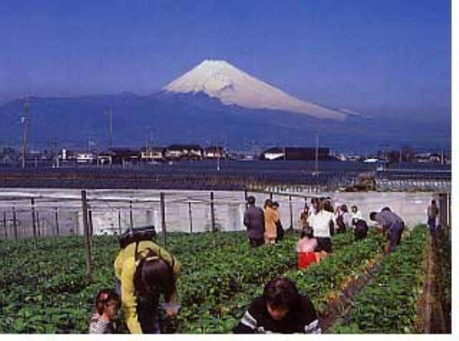 Gesthaus + Cafe わ: Traditional Farmhouse Experience Kannami Exterior photo